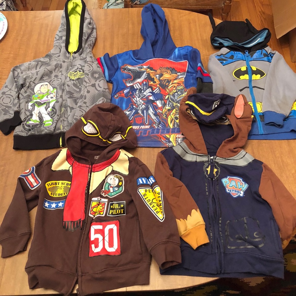 Character Hoodie Lot Size 2T